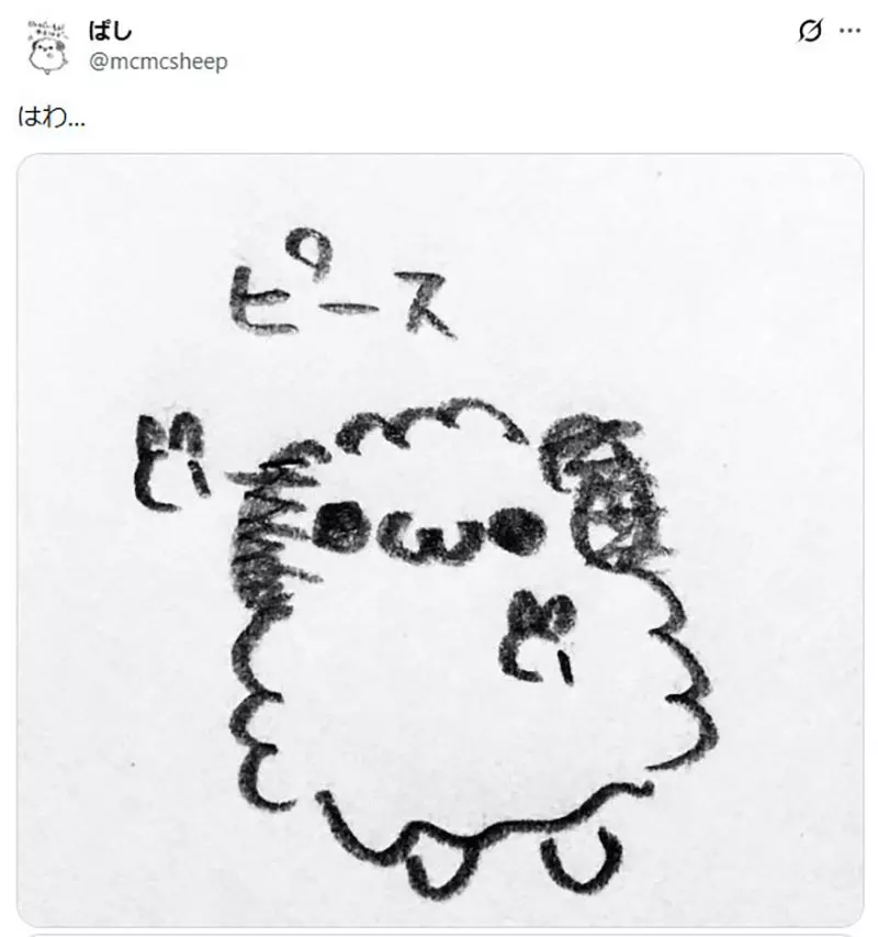圖片14