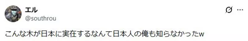 圖片11