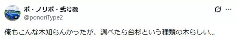 圖片15