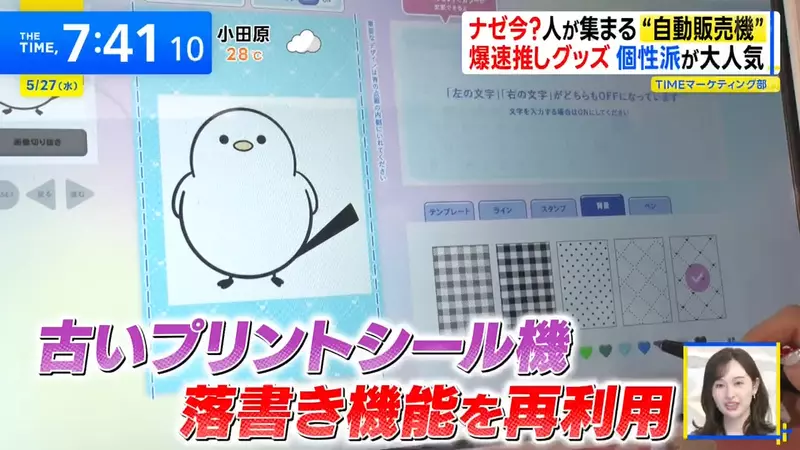 圖片13 圖片13