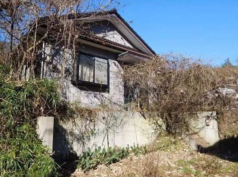圖片3