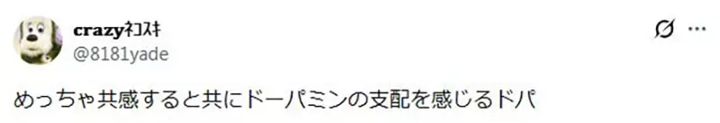 圖片25 圖片25