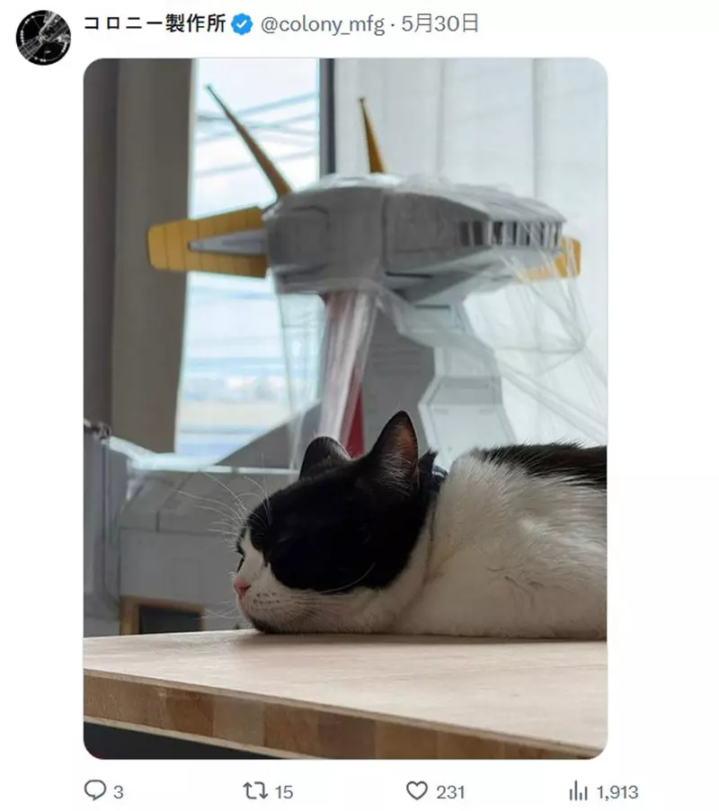 圖片8