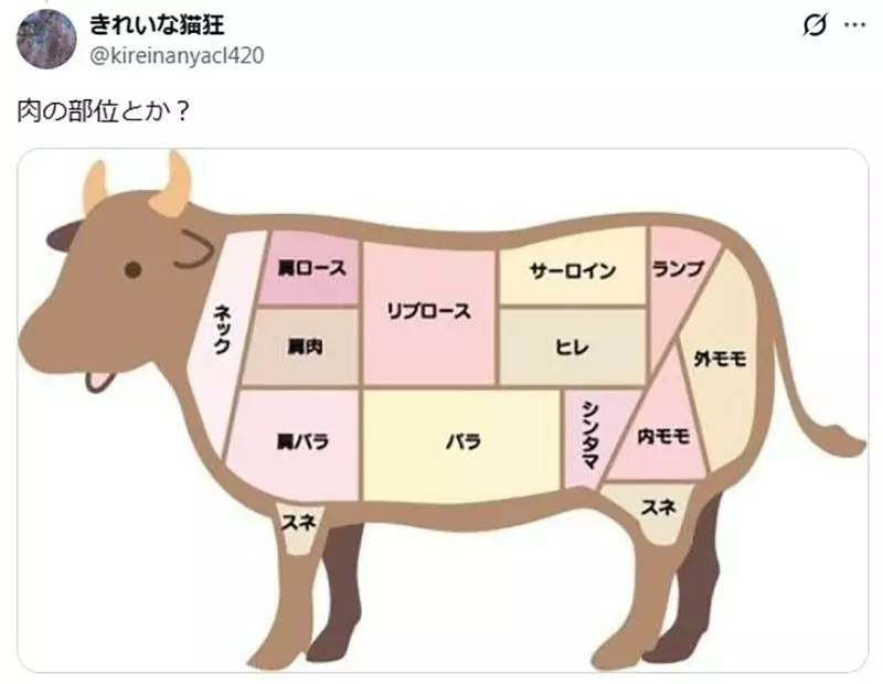 圖片5 圖片5