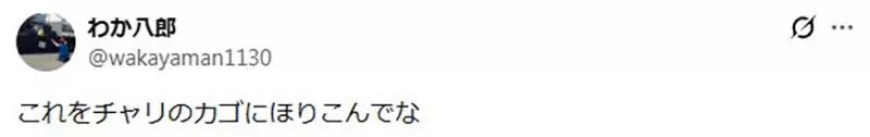 圖片8