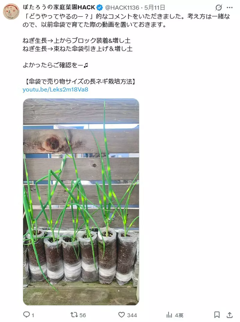 圖片3