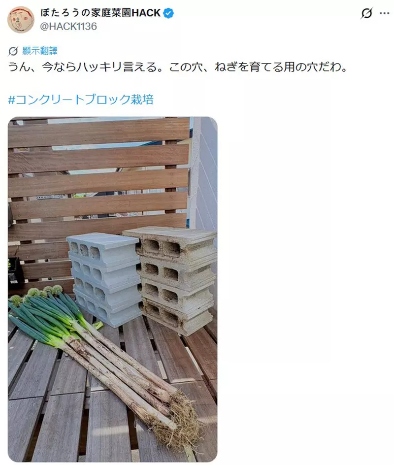 圖片4