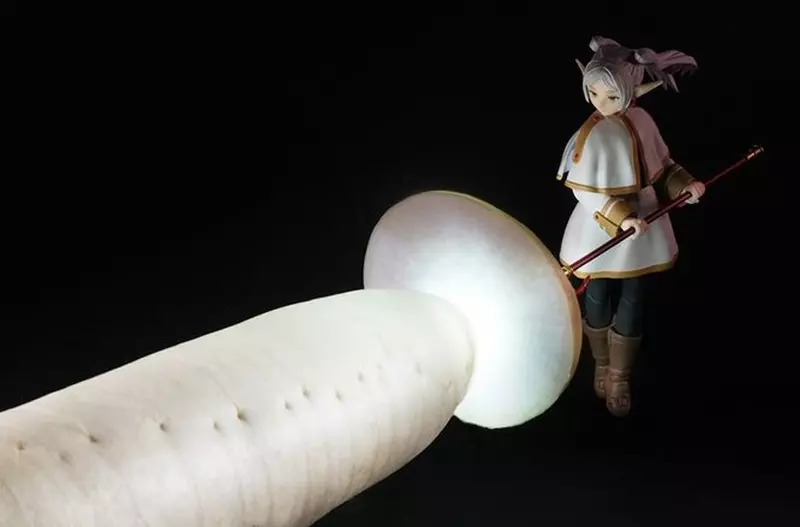 圖片1