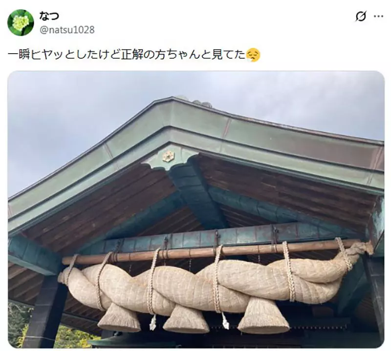 圖片13