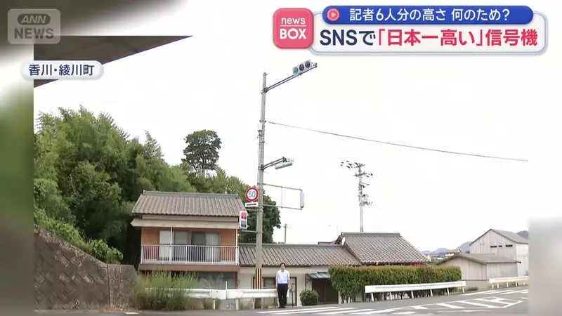 圖片7