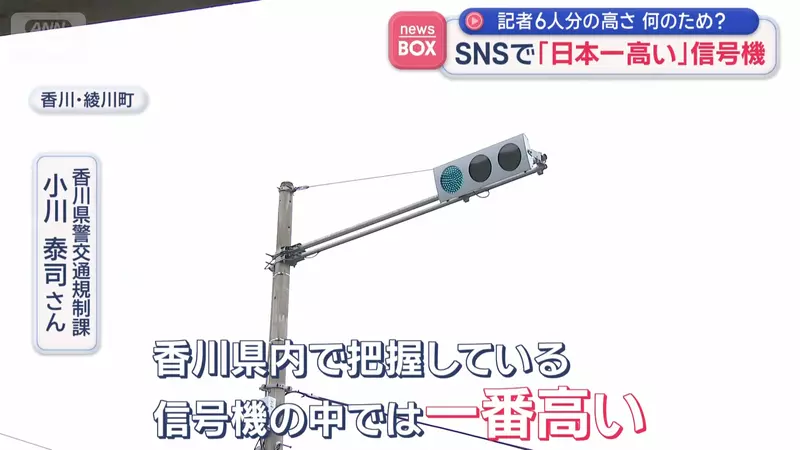 圖片17