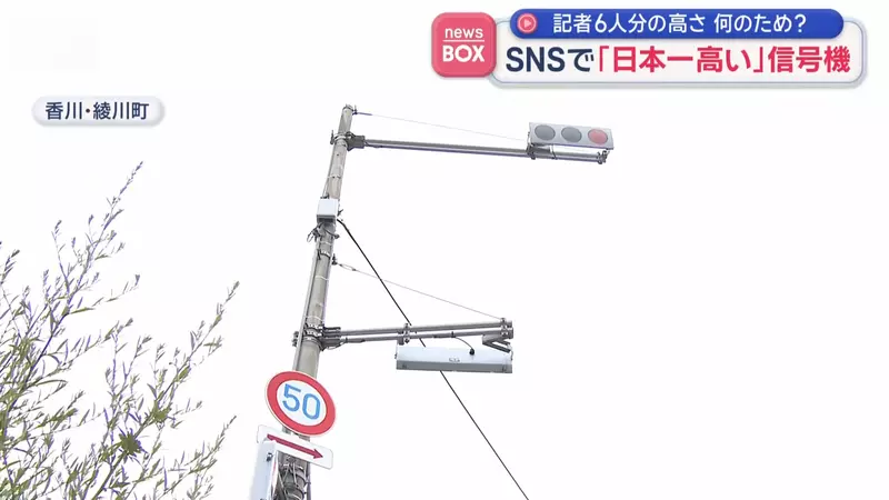 圖片5