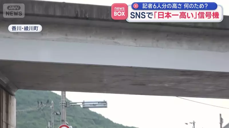 圖片12