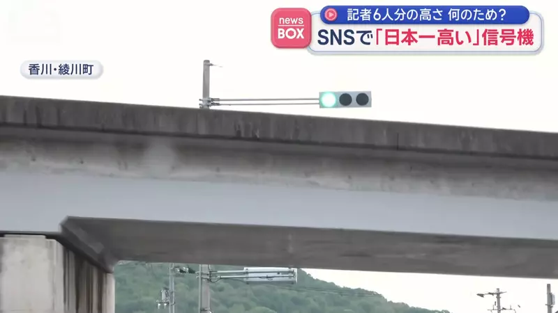 圖片11