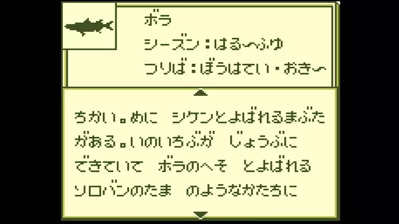 圖片20 圖片20