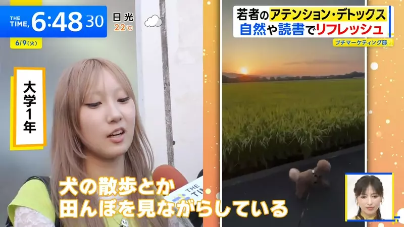 圖片23 圖片23