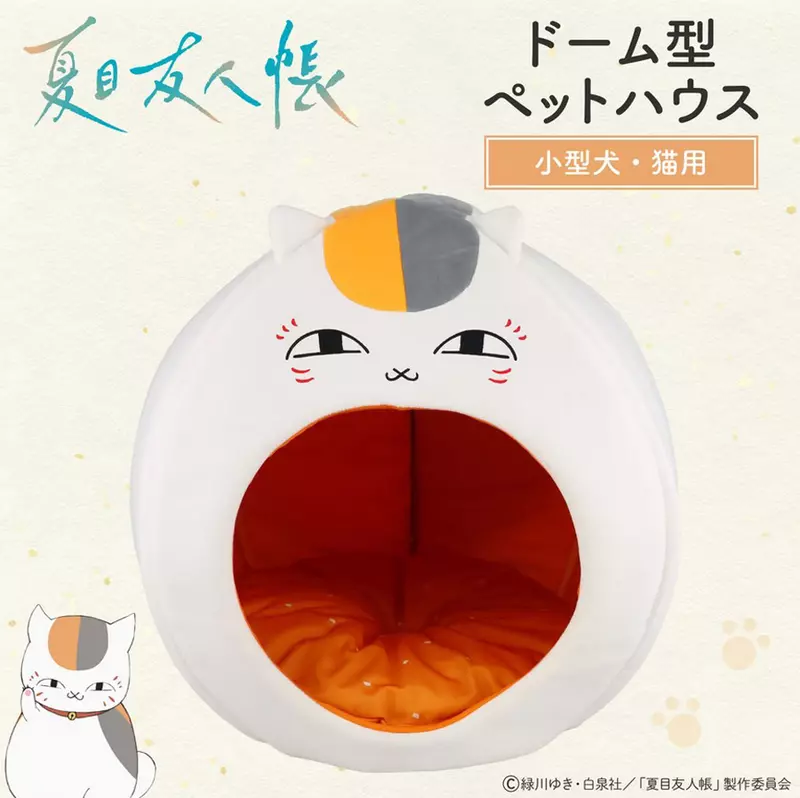 圖片10
