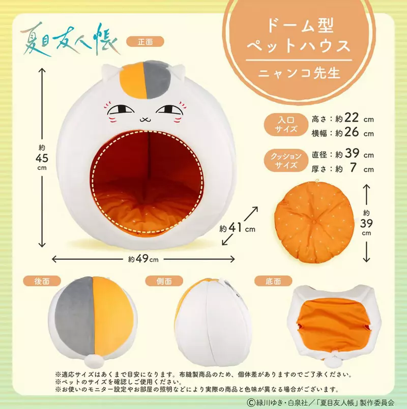 圖片8