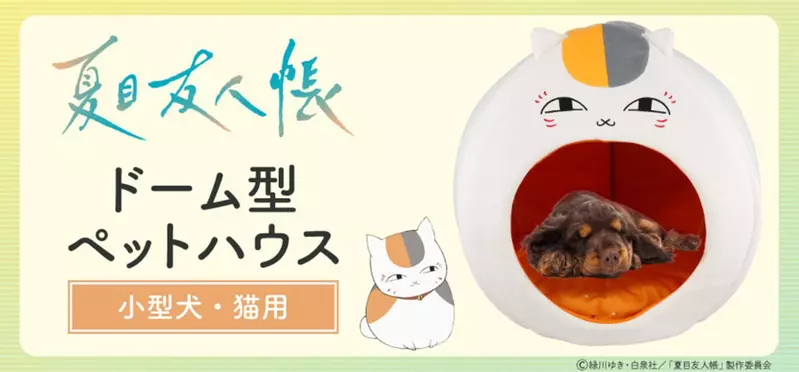 圖片2