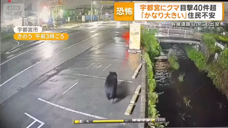 圖片3