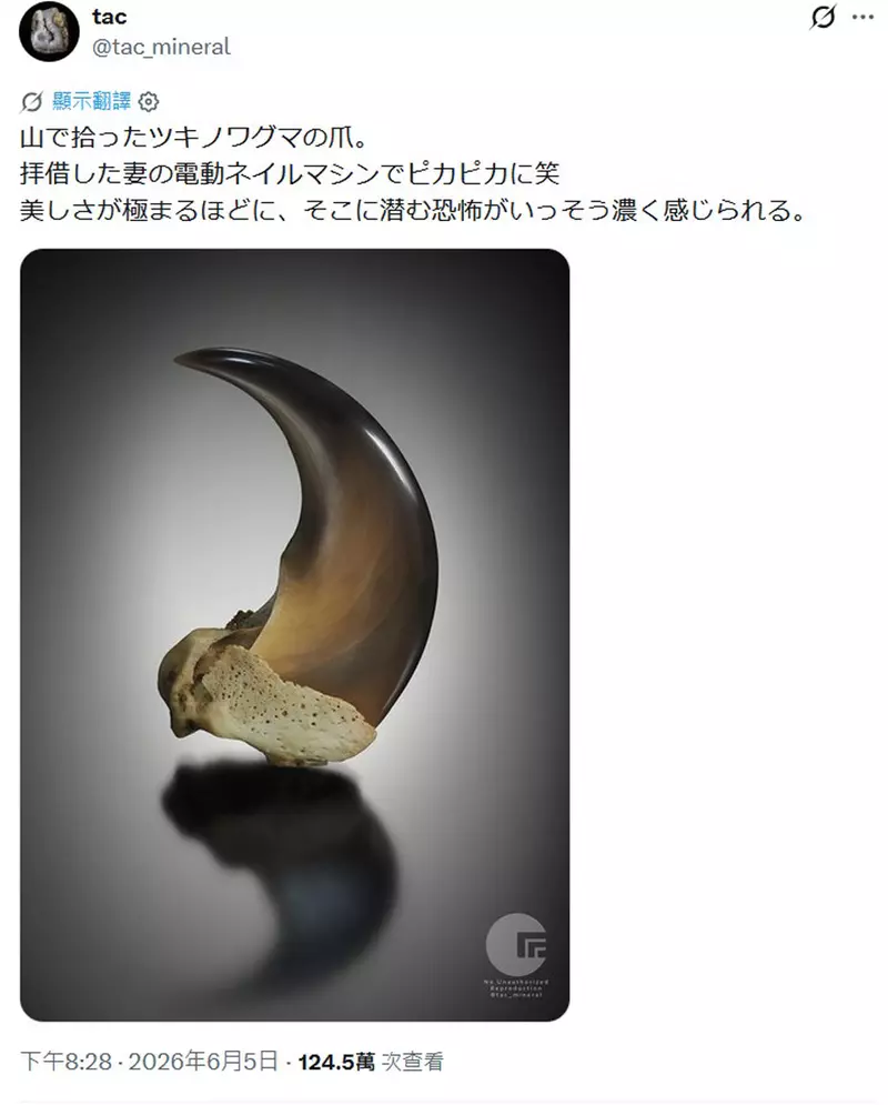 圖片5