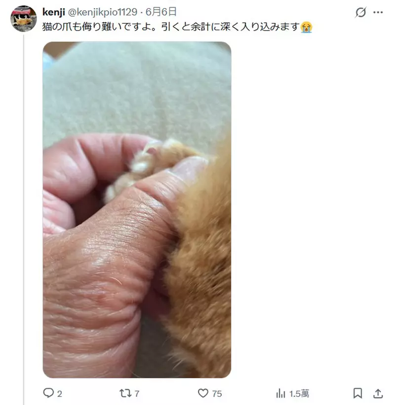 圖片6