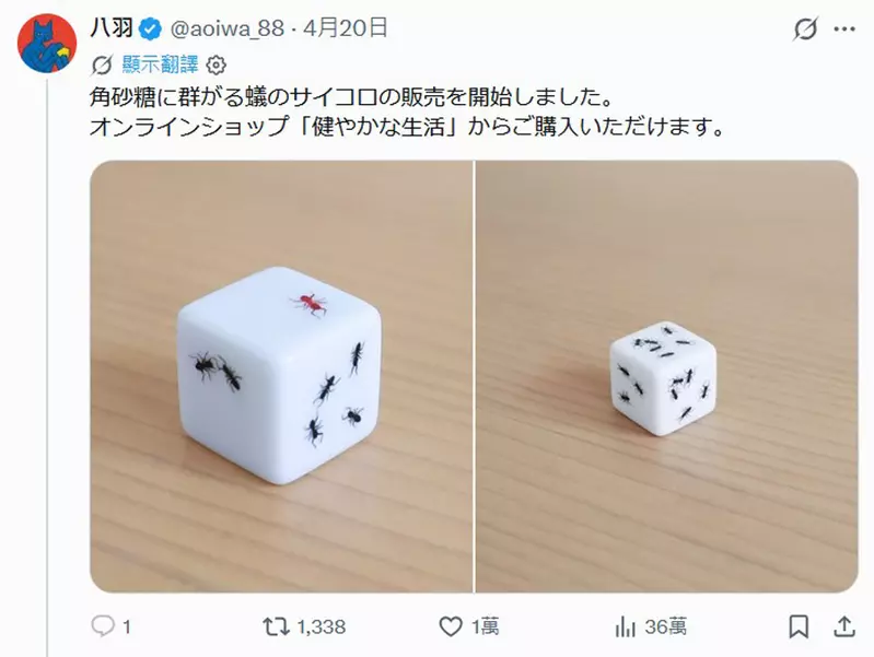 圖片9 圖片9