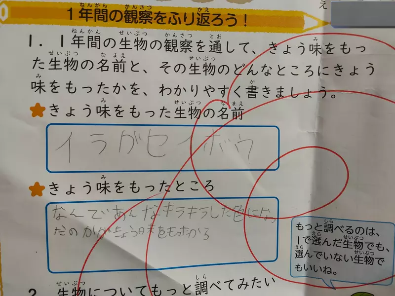 圖片7