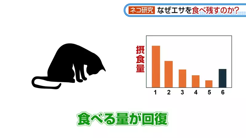 圖片9 圖片9