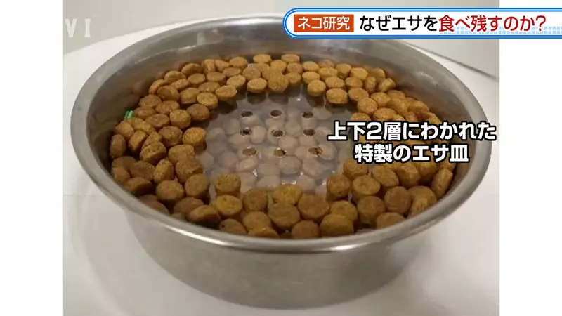 圖片10 圖片10