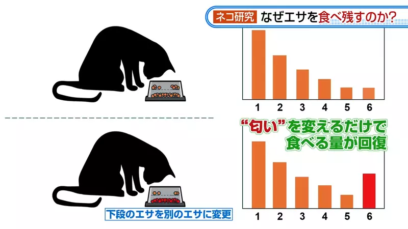 圖片13 圖片13