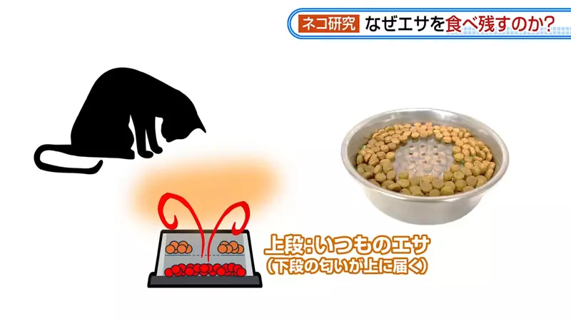 圖片11 圖片11