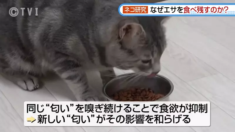 圖片1 圖片1