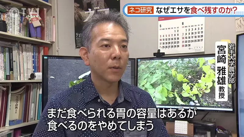 圖片16 圖片16