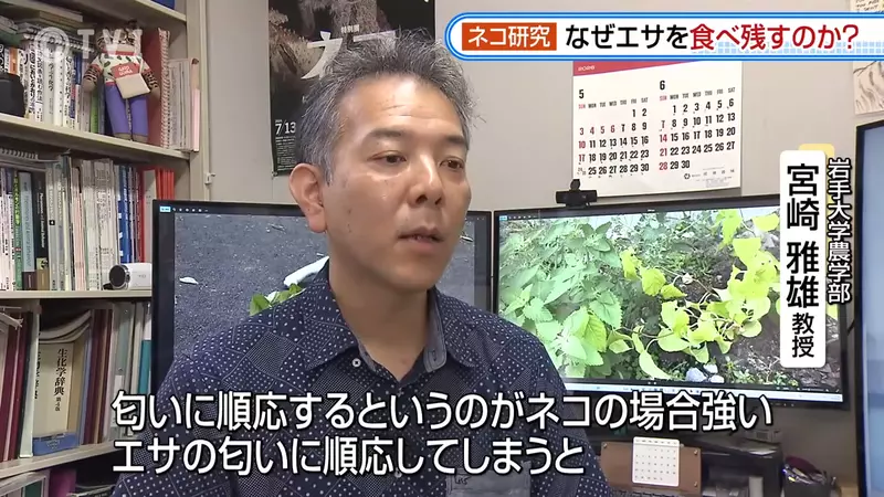 圖片15 圖片15