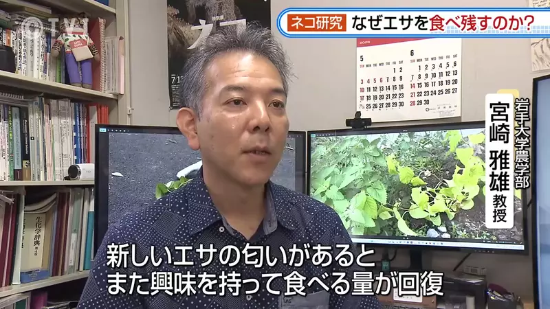 圖片17 圖片17