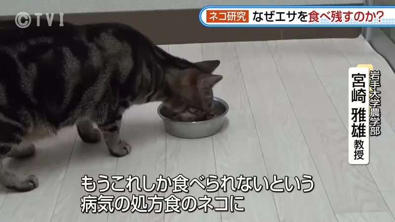 圖片18 圖片18