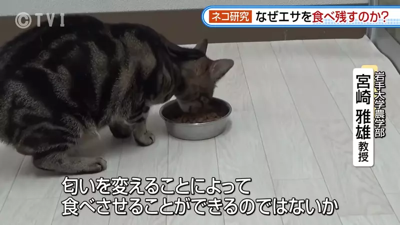 圖片19 圖片19