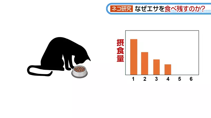 圖片7 圖片7
