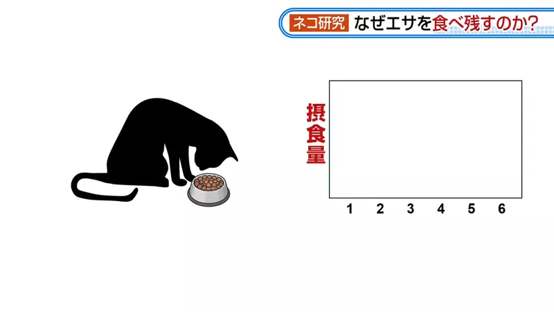 圖片6 圖片6