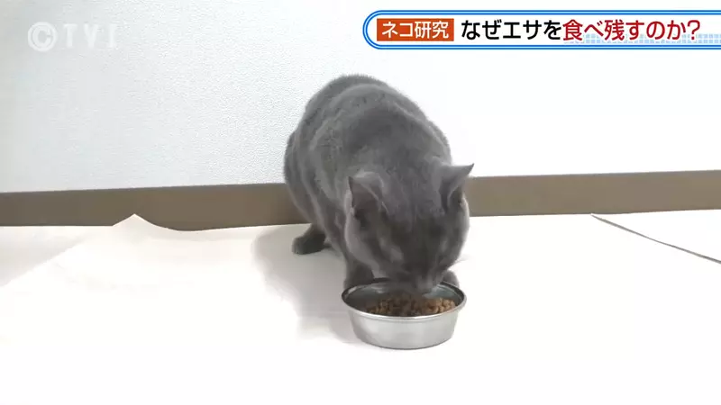 圖片3 圖片3