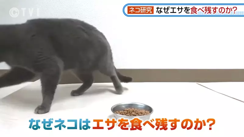 圖片4 圖片4