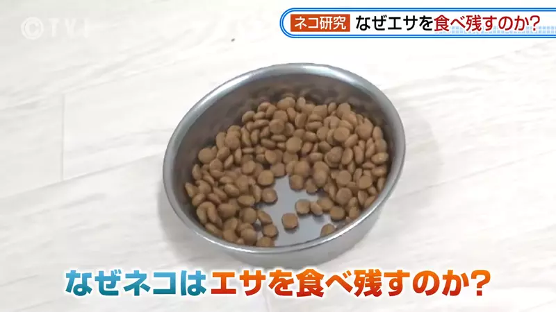 圖片5 圖片5