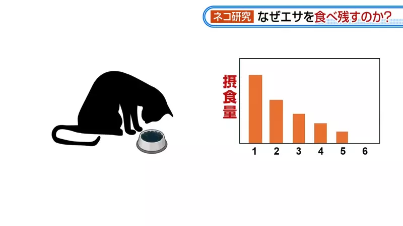 圖片8 圖片8