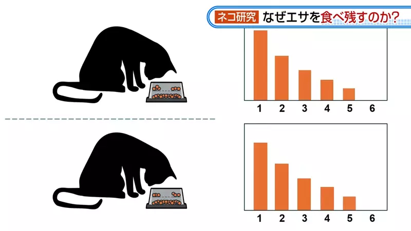 圖片12 圖片12