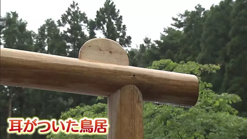 圖片4