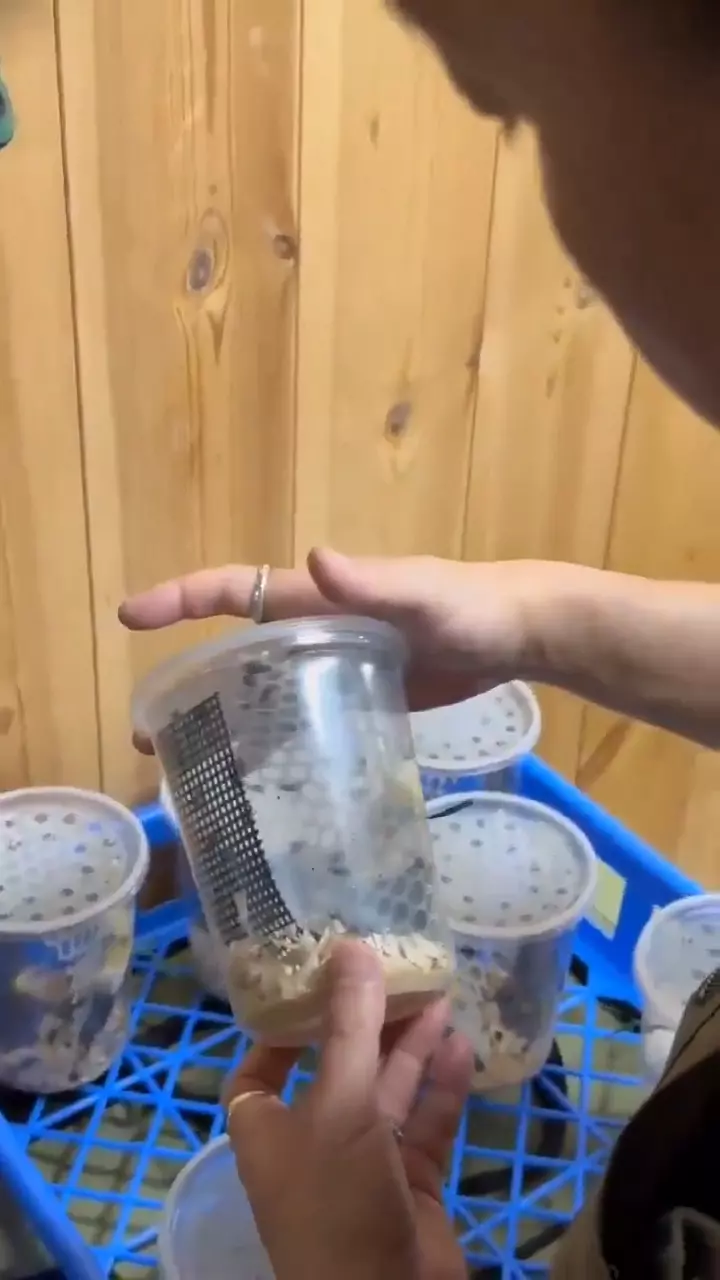 圖片6 圖片6