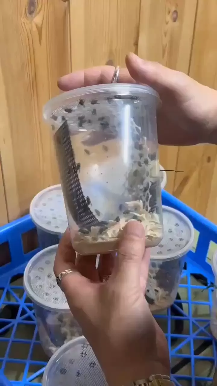 圖片7 圖片7