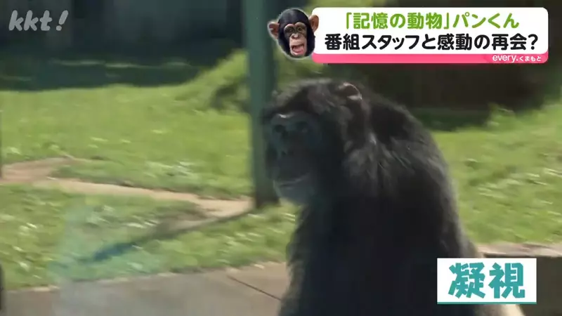 圖片19 圖片19