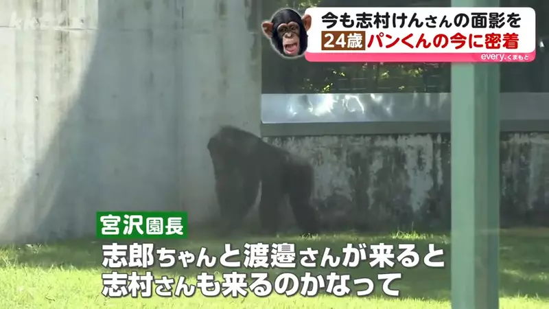 圖片21 圖片21